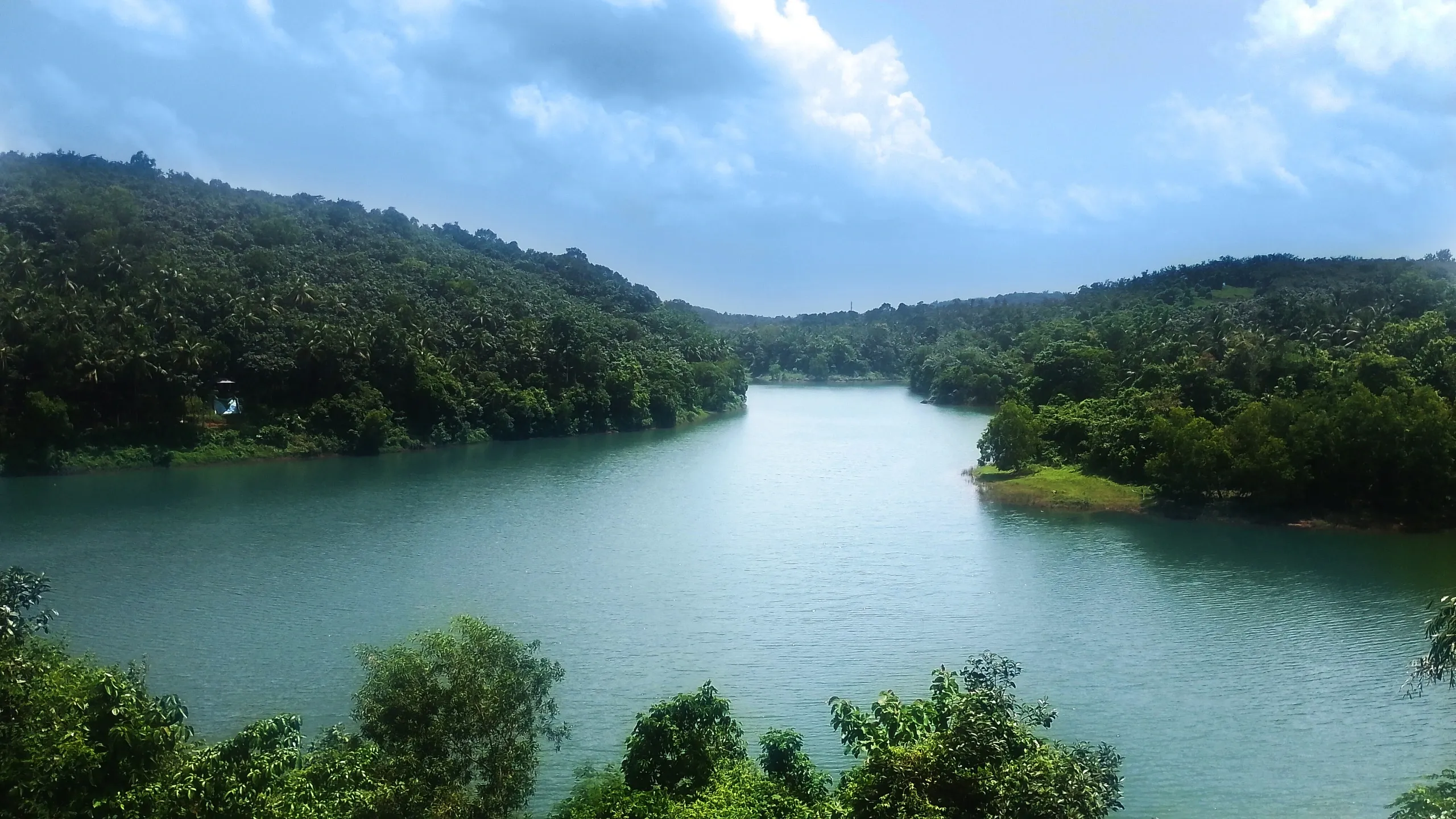 free style specialized